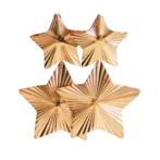 IMG 3269 VSCO removebg preview 2