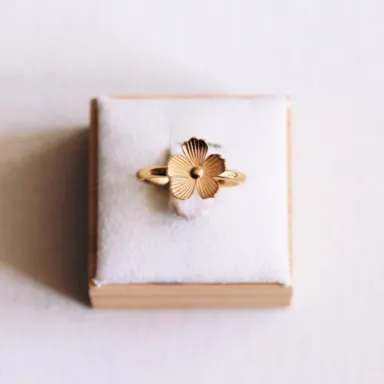 IMG 5643 VSCO VSCO